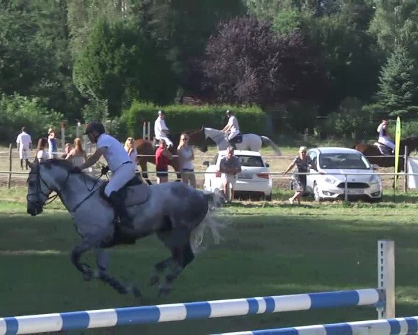 Reitturnier Memmingen 2016