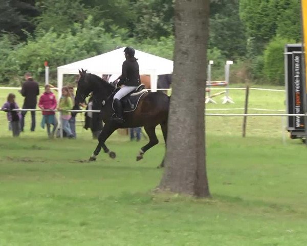 Reitturnier Memmingen 2016