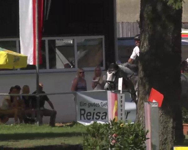 Reitturnier Memmingen 2016