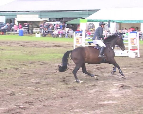 Reitturnier Behrendorf 2016