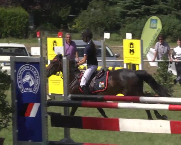 Reitturnier Memmingen 2016