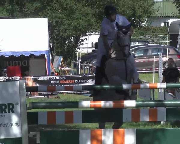 Reitturnier Memmingen 2016