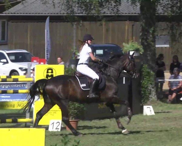 Reitturnier Memmingen 2016