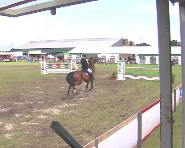 Reitturnier Behrendorf 2016