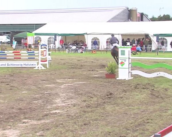 Reitturnier Behrendorf 2016