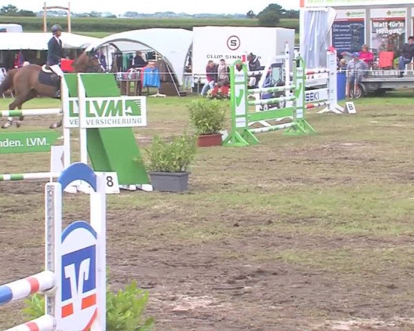 Reitturnier Behrendorf 2016