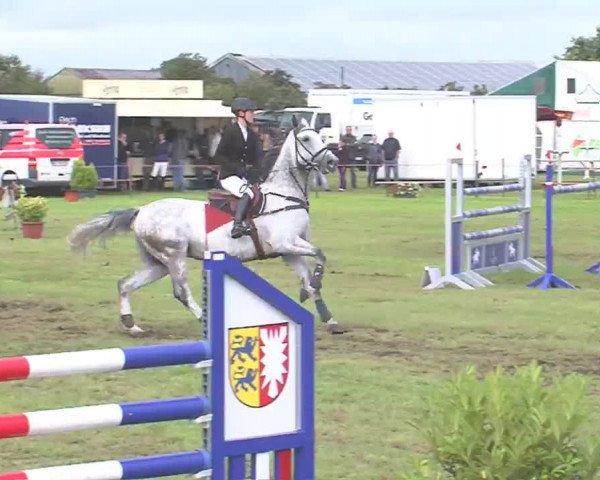 Reitturnier Behrendorf 2016