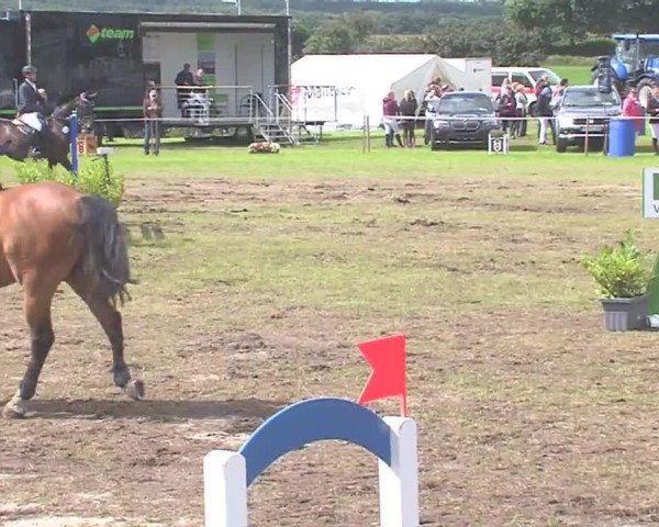 Reitturnier Behrendorf 2016