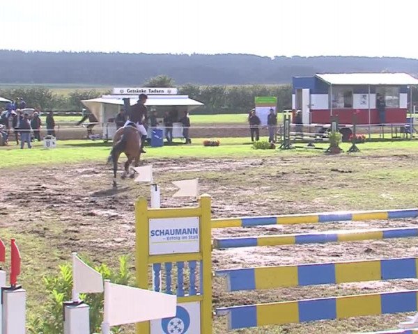 Reitturnier Behrendorf 2016