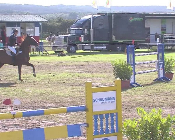 Reitturnier Behrendorf 2016