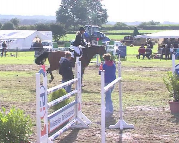 Reitturnier Behrendorf 2016
