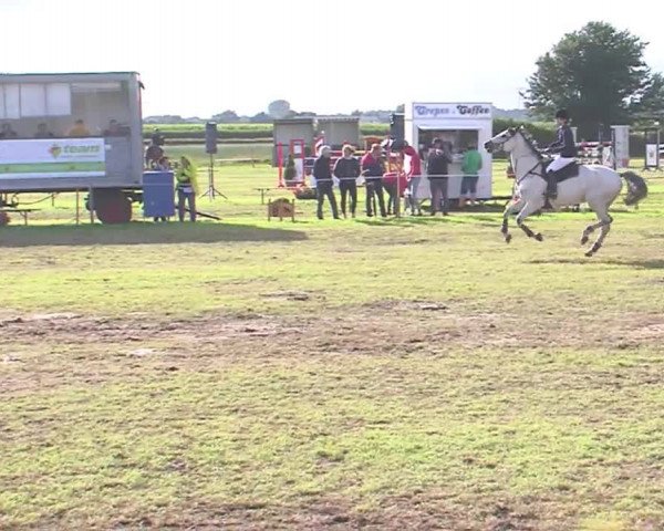 Reitturnier Behrendorf 2016