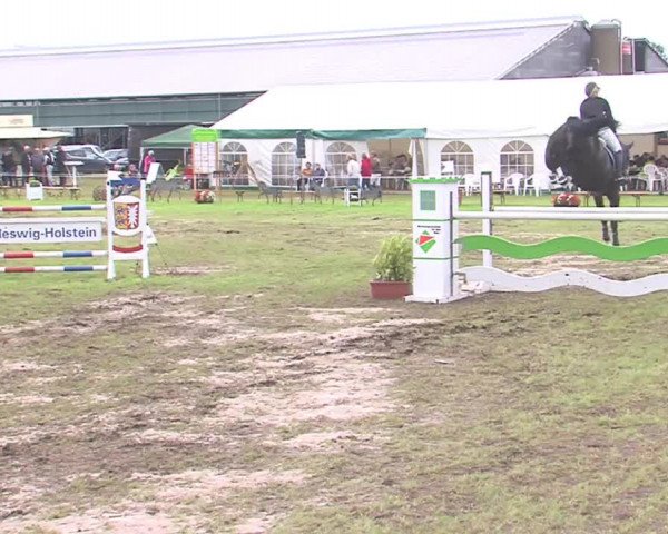 Reitturnier Behrendorf 2016