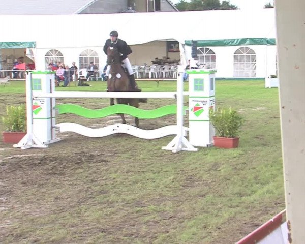 Reitturnier Behrendorf 2016
