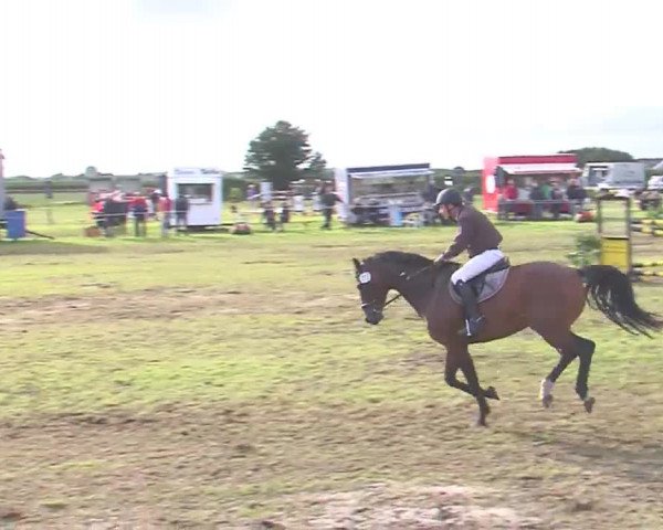 Reitturnier Behrendorf 2016