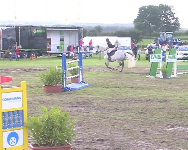 Reitturnier Behrendorf 2016