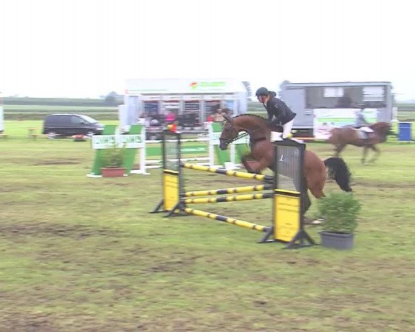 Reitturnier Behrendorf 2016