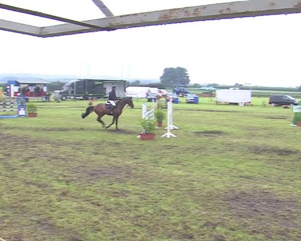Reitturnier Behrendorf 2016
