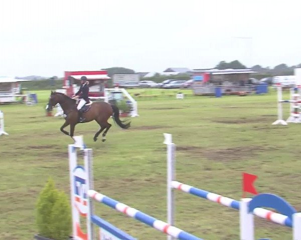 Reitturnier Behrendorf 2016