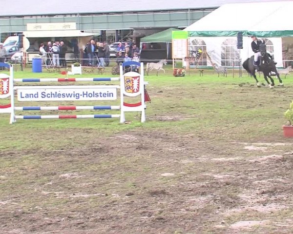 Reitturnier Behrendorf 2016
