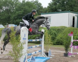 jumper Quintago 2 (Holsteiner, 2010, from Quintero)