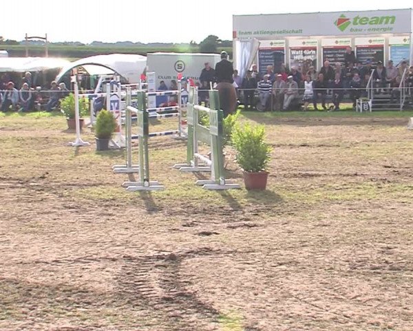 Reitturnier Behrendorf 2016