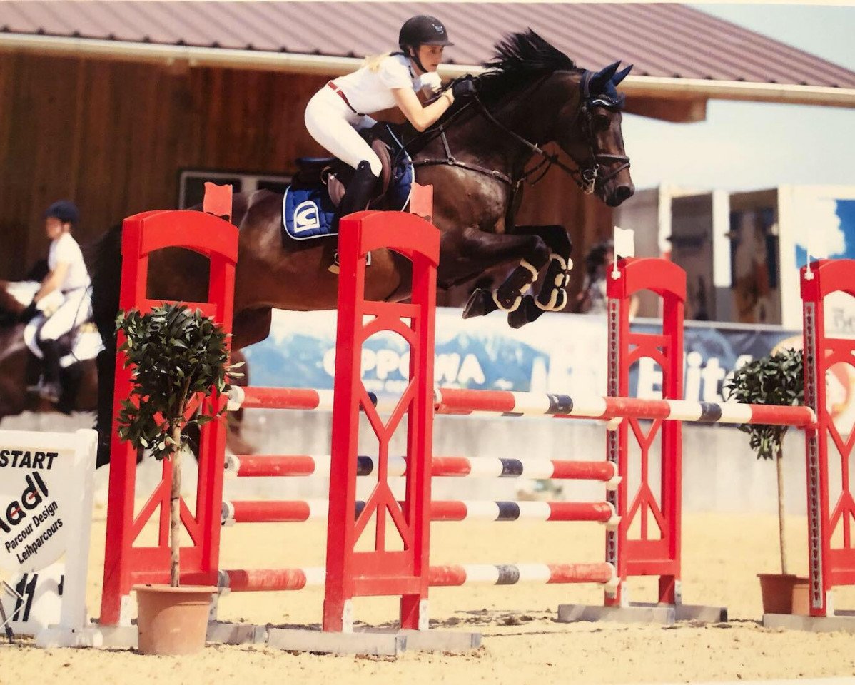 jumper Cayman 46 (Hanoverian, 2009, from Chacco-Blue)