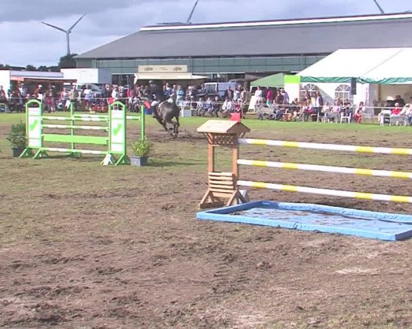 Reitturnier Behrendorf 2016