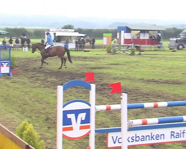 Reitturnier Behrendorf 2016