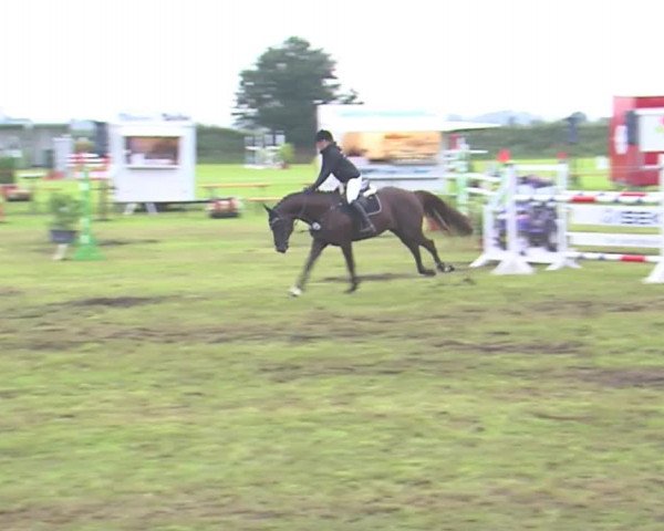 Reitturnier Behrendorf 2016