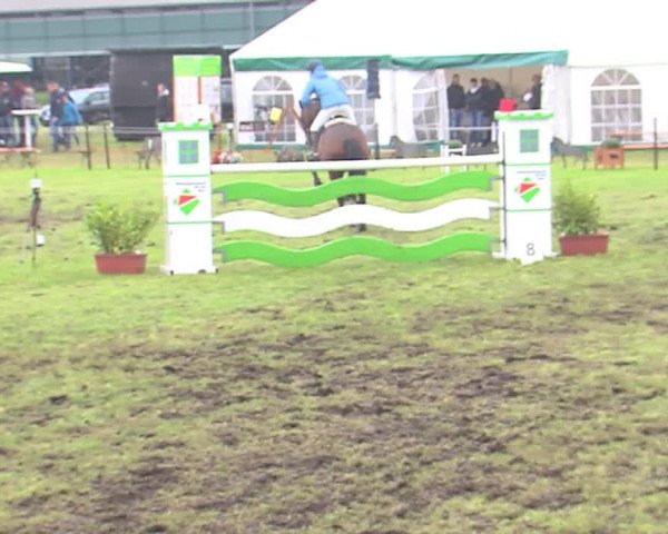 Reitturnier Behrendorf 2016