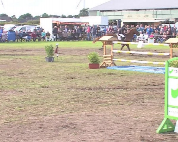 Reitturnier Behrendorf 2016