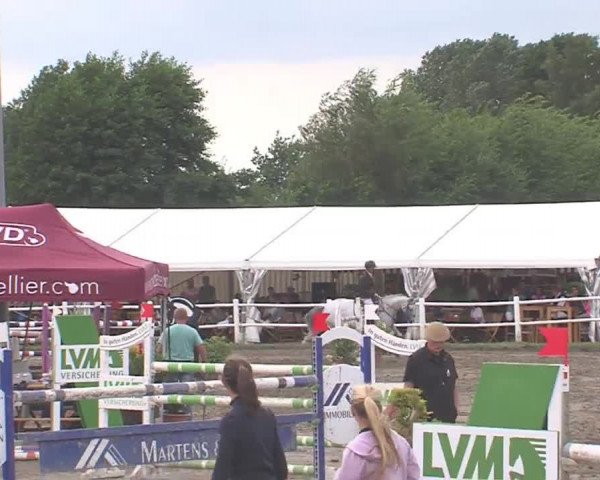 Reitturnier Tangstedt/Pinneberg 2016
