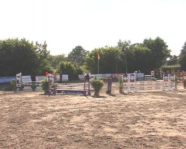 Reitturnier Tangstedt/Pinneberg 2016