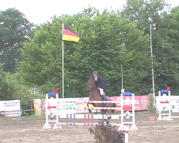 Reitturnier Tangstedt/Pinneberg 2016