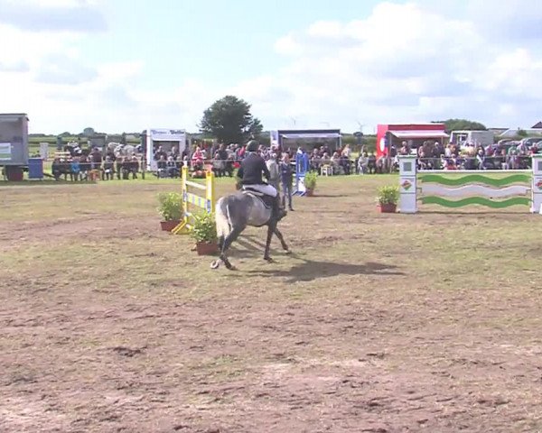 Reitturnier Behrendorf 2016