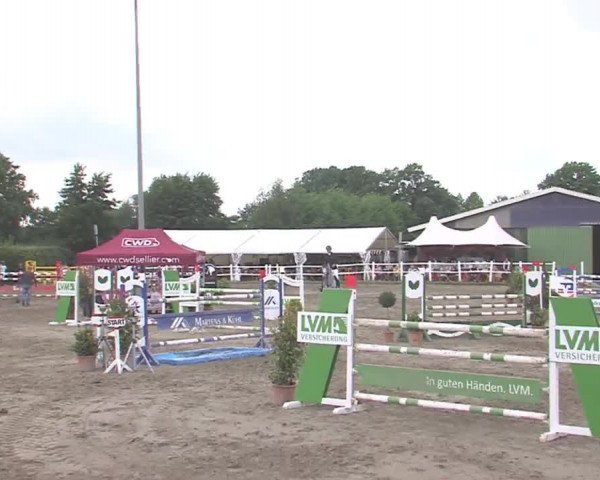 Reitturnier Tangstedt/Pinneberg 2016