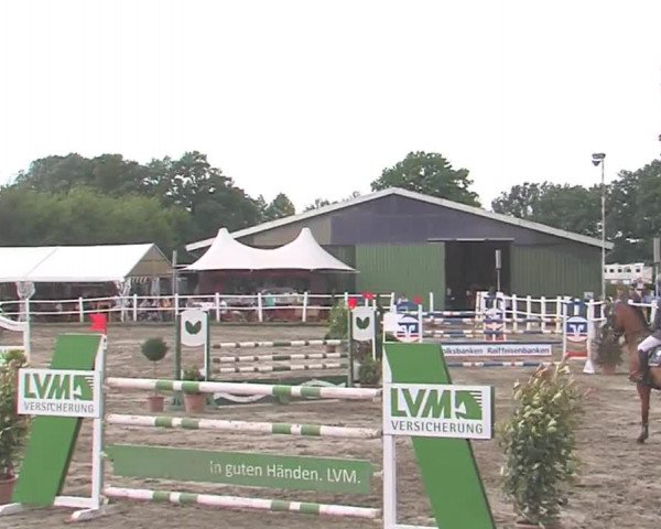Reitturnier Tangstedt/Pinneberg 2016