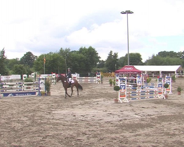 Reitturnier Tangstedt/Pinneberg 2016