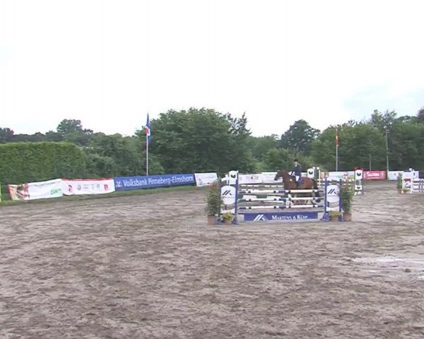 Reitturnier Tangstedt/Pinneberg 2016