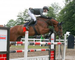 Springpferd Ela-Lu (KWPN (Niederländisches Warmblut), 2009, von Eldorado van de Zeshoek)