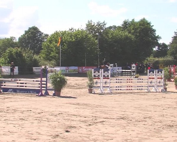 Reitturnier Tangstedt/Pinneberg 2016
