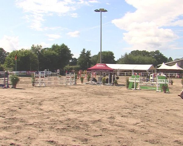 Reitturnier Tangstedt/Pinneberg 2016
