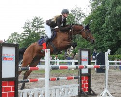 jumper Lancertino (Württemberger, 2012, from Lancerto)