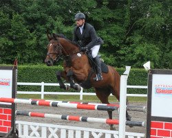 jumper Felix von Balboa (unknown, 2011)