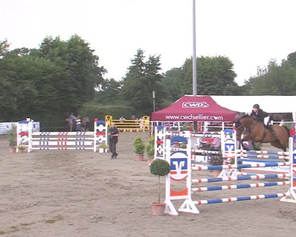 Reitturnier Tangstedt/Pinneberg 2016