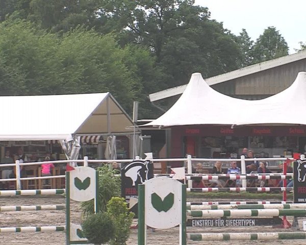Reitturnier Tangstedt/Pinneberg 2016