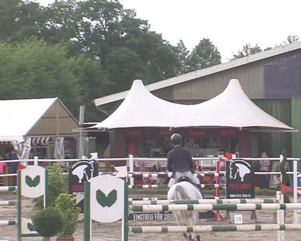 Reitturnier Tangstedt/Pinneberg 2016