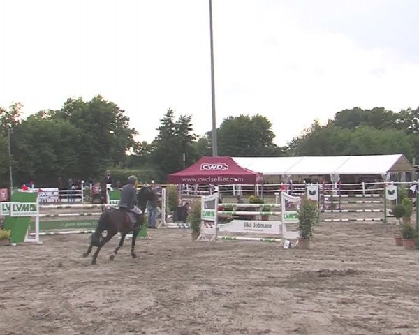 Reitturnier Tangstedt/Pinneberg 2016