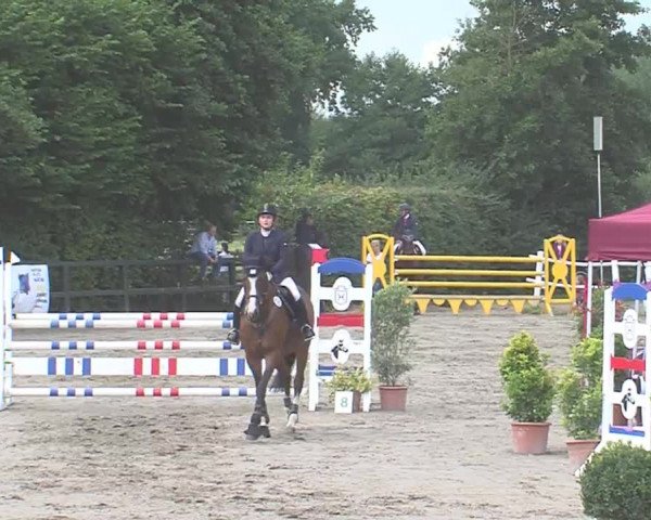 Reitturnier Tangstedt/Pinneberg 2016